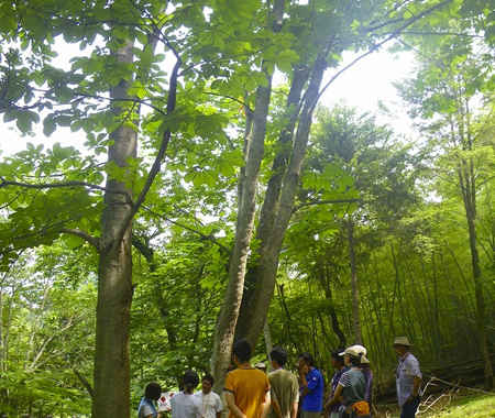 伝えるとはなにか（環境教育において「伝える」の基本）