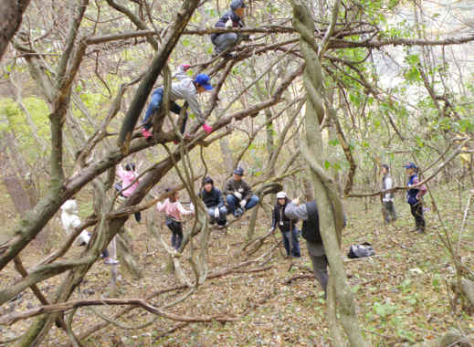 生まれ育った街のために、 自分ができることを