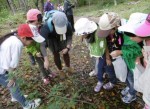 きのこ・たけのこ里山学校＜宮城校＞を実施しました