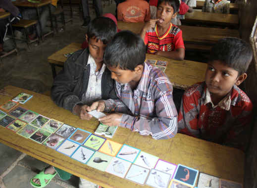 バングラデシュ全国の小学校で適用可能なスンダルバンス地域の 生物多様性保全を学ぶ教材の開発と人材育成を目指して