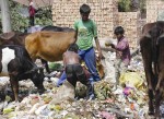 バングラデシュ・クルナ市でウエイスト・ピッカー(有価廃棄物回収人)を支援する活動が始まりました!