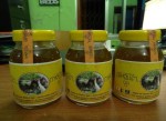 バングラデシュ・スンダルバンスの天然蜂蜜の商品案完成と政府により天然蜂蜜収集人協同組合が承認されました!