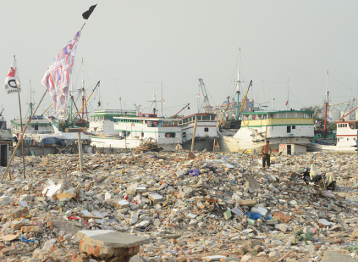 ジャカルタ魚市場の強制撤去