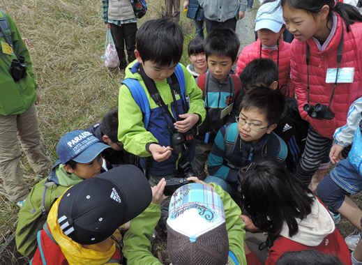 幼児から大人まで 〜米子水鳥公園における長期的環境教育プログラム〜　米子水鳥公園にききました【鳥取県】