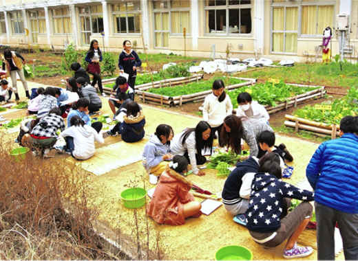 学校でのエディブル・エデュケーション