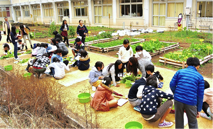 学校でのエディブル・エデュケーション | JEEF 公益社団法人日本環境 