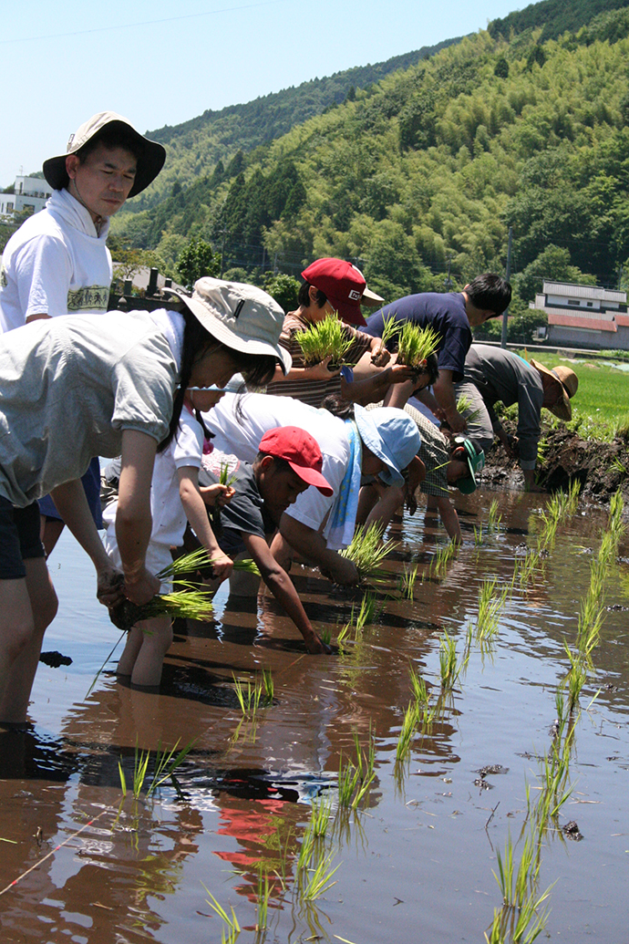 田植えは「遊び」ではなく「仕事」であることを伝えます。