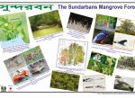 バングラデシュでの生物多様性やエコツーリズムに関する教材開発を進めています!