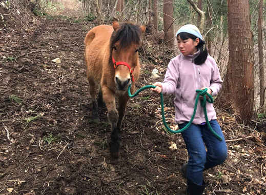 森づくりと家づくり。持続可能で豊かな暮らし