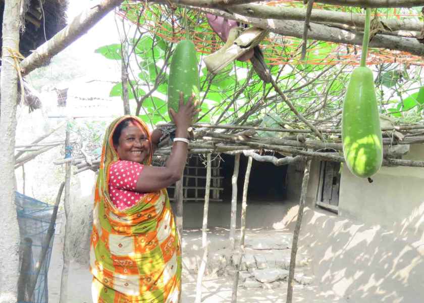 Livelihood project on sustainable use of mangrove forest in the Sundarbans, Bangladesh (Phase I – III)