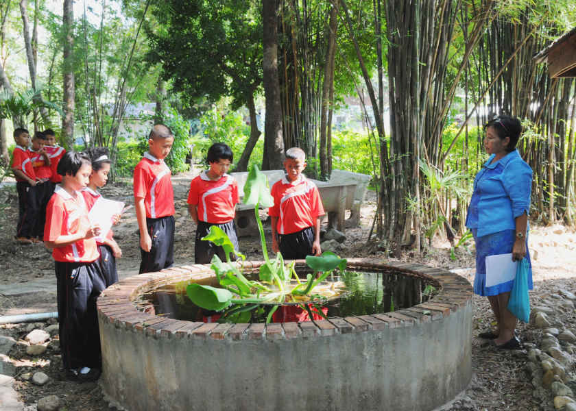 Forest on Blackboard Thailand