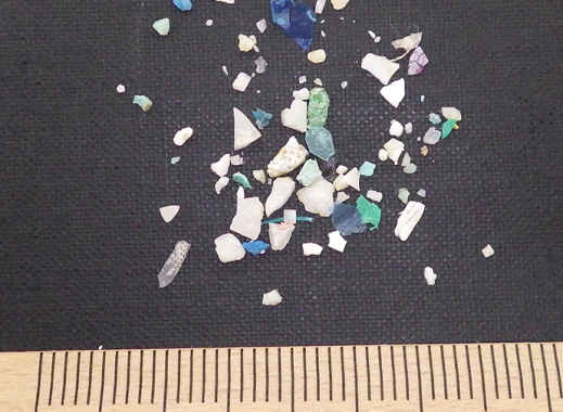 マイクロプラスチック汚染と使い捨てプラスチックの削減