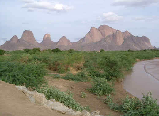 世界（開発途上地域）の食・農事情 第3回　砂漠・乾燥地帯に特有の 食・農文化 スーダン共和国