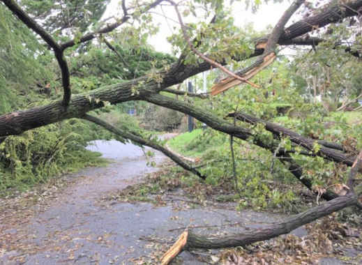 危険を予知する コミュニケーション