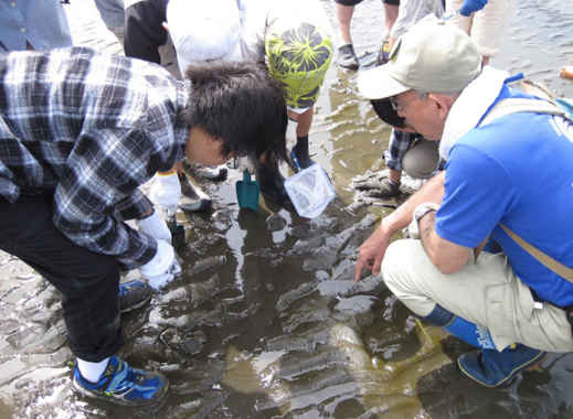 気づきをつなぎ、自然に誘う窓