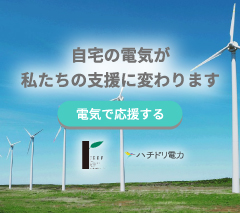 ハチドリ電力