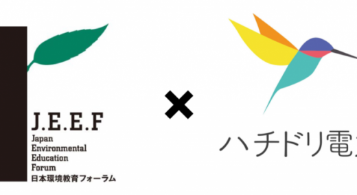 ハチドリ電力担当者、小野悠希さんに直撃インタビュー！ ―自然エネルギーを通じた持続可能な社会へのヒント―