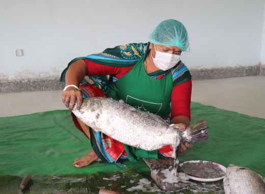 バングラデシュ農畜林水産業の6次産業化プロジェクト(第2年次)活動完了報告！