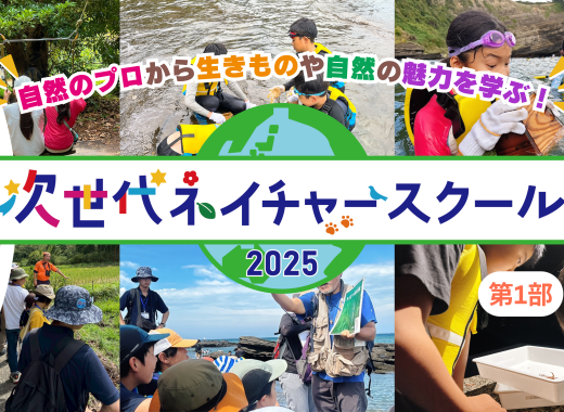 【レポート】次世代ネイチャースクールin 南房総①