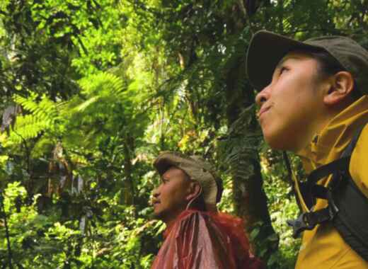 【インドネシア】12月出張報告