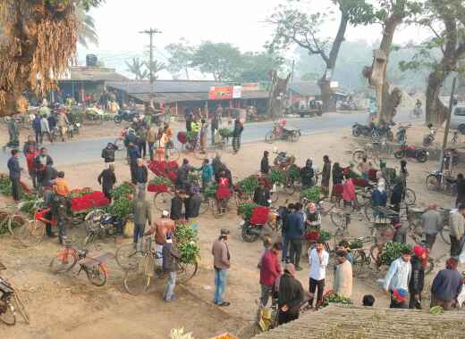 【バングラデシュ】1月出張報告