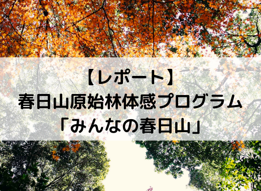 【レポート】春日山原始林体感プログラム「みんなの春日山」～障がいにかかわらず山にふれる体験