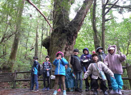 ❄️雪の森と火のぬくもり。循環の屋久島ウィンターチャレンジキャンプ2025