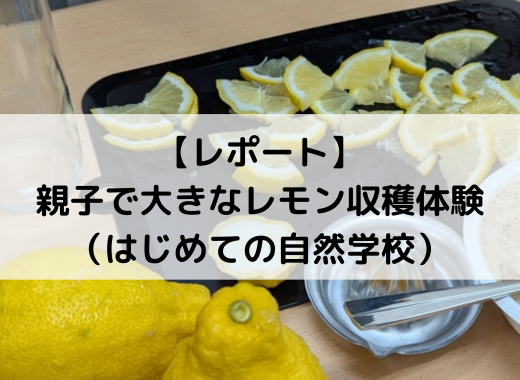 【レポート】親子で大きなレモン収穫体験（はじめての自然学校）