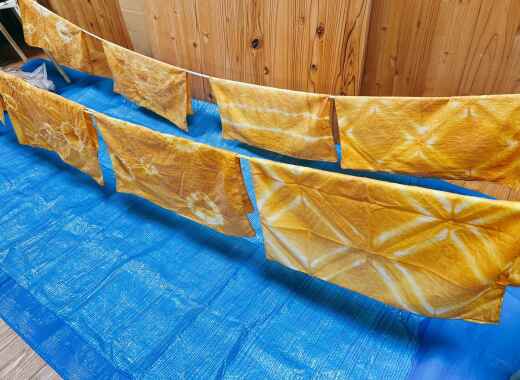 CSOラーニング生自主企画「バレンタイン×草木染め」を行いました！