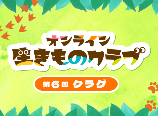 【レポート】オンライン生きものクラブ第6回「クラゲ」