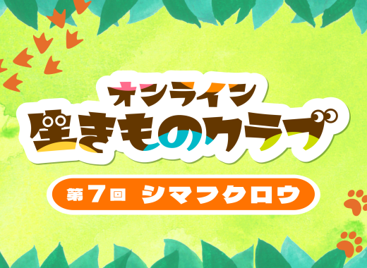 【レポート】オンライン生きものクラブ第７回「シマフクロウ」