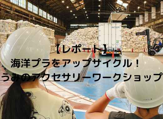 【レポート】海の科学者講座アドバンス
