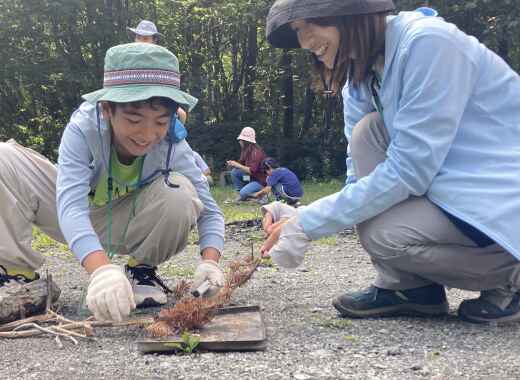 【参加者募集】ひとり親家庭のための 清里の森ですごす　わくわくおやこプログラム